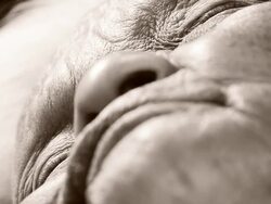 Senior Asian woman Stock Footage