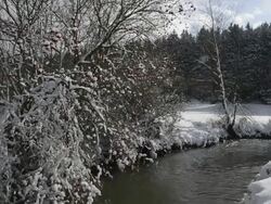 MS Shot of snowy Vils river valley in winter / Landshut, Bavaria, Germany Stock Footage