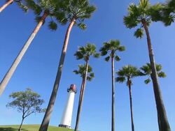 Long Beach CA - HD Video Stock Footage