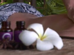 CU R/F Shot of Massage / Bunaken National park, Sulawesi Island, Indonesia    Stock Footage