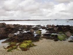 Connemara coast of Ireland Stock Footage