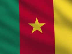 Cameroon Flag Stock Footage