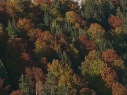 Autumn mountain landscapes Stock Footage