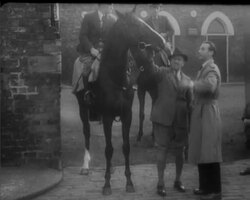 RACE HORSE FOR STAN MATTHEWS News Clip