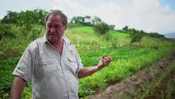 Coffee and conservation: Mozambique tries both on a mountain News Clip