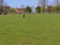 HD: 4 Year Old Biracial Boy Running in the Park Stock Footage