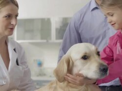 Vet Examining A Family Dog Stock Footage