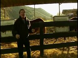 Interview with William Shatner Stock Footage