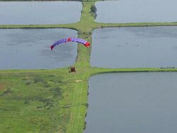 WS AERIAL ZI View of flying birds group and paragliding / Werribee, Victoria, Australia Stock Footage