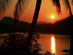 MS Shot of mekong river with mountains and palm tree at sunset / Luang Prabang, Laos Stock Footage