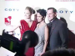 Katharina Harf, Halle Berry and Bernd Beetz at the DKMS' 4th Annual Gala: Linked Against Leukemia - Arrivals at New York NY. (Footage by WireImage Video/GettyImages) Stock Footage