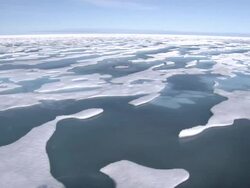 Arctic and Northwest Ice Floes News Clip