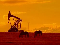 HD: Pump Jack on Horse Ranch Stock Footage