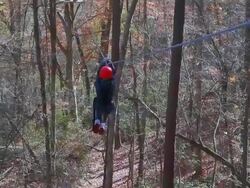 Canopy tour via ziplining Stock Footage