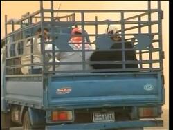 Insurgent fighters in area of US offensive News Clip