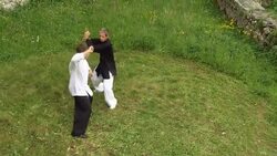 HD CRANE: Men Fighting Tai Chi Chuan Stock Footage