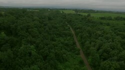 Farm Road Stock Footage