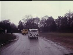 SAFARI PARK News Clip