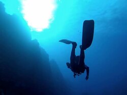 Lonely Diver Stock Footage