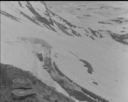 MAKE WAY FOR SUMMER News Clip