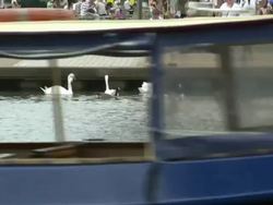 Royal Shakespeare Theatre And People Around River News Clip