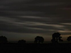 timelapse palms with storm Stock Footage