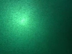 Bait ball fish, silhouette. North Carolina, Atlantic Ocean  Stock Footage