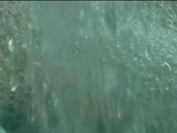 Fragance remains a classic gift. News Clip