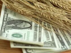 HD: Agricultural Business Stock Footage