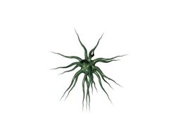 digital creature NTSC Stock Footage