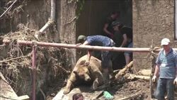 VOICED : Personas y animales victimas de inundacion en Georgia News Clip