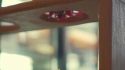 Coffee Drip Stock Footage