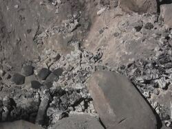 digging a pit for dutch oven Stock Footage