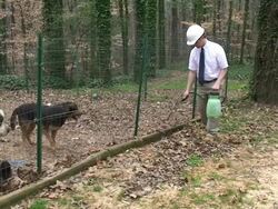 Exterminator Stock Footage