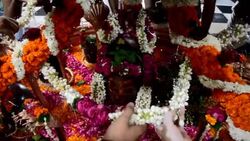 CLEAN : Indian Hindu devotees decorate and pay res News Clip