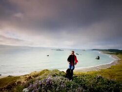 WS SLO MO POV View of young man walking his dog on trail by ocean / Cape Blanco State Park, Oregon, United States Stock Footage
