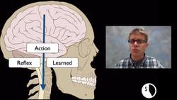 LS1D - Information Processing Instructional Video