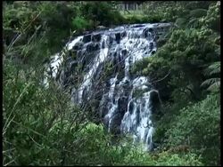 Waterfall Behind Trees / Bush Stock Footage