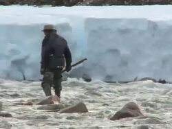 A man goes fishing in a freshwater stream for Arctic Char, massive snow banks enclose the river Stock Footage