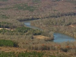 WS AERIAL View of wooded area / South Carolina, United States Stock Footage