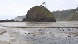 Sea Stack and Fresh Water Stream Stock Footage