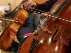 The cello playing Stock Footage