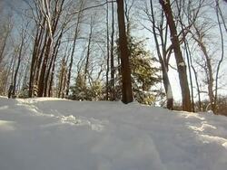 A young man snowboarding through trees in the winter. - Slow Motion - Model Released - HD Stock Footage