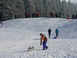 WS Shot of kids sledding on snow in winter / Erbeskopf, Hunsruck, Rhineland Palatinate, Germany Stock Footage