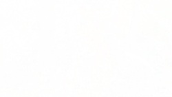 New, stronger enclosure after jaguar zoo escape Instructional Video