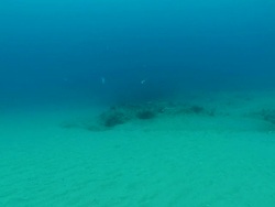 WS POV Shot along sea floor towards rocky outcrop / Matola, Maputo, Mozambique Stock Footage