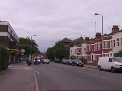 Vegetables and herbs flourish under a new scheme for gardeners in London News Clip