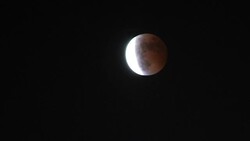 Moon Eclipse - Time Lapse Video Stock Footage