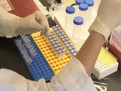 Medium Close Up static-A lab technician fills vials with a dropper. / USA Stock Footage