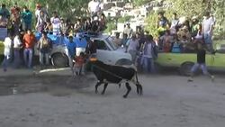 Bull gets better of intoxicated participant at traditional event in Ayacucho News Clip